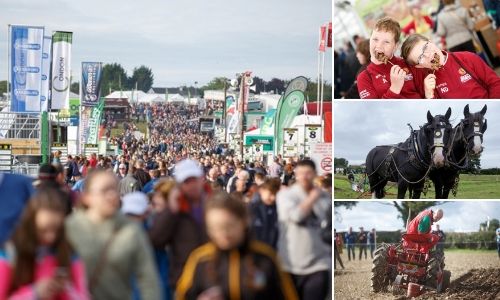 5 Great Family Events To Enjoy In Ireland This September National Ploughing Championships